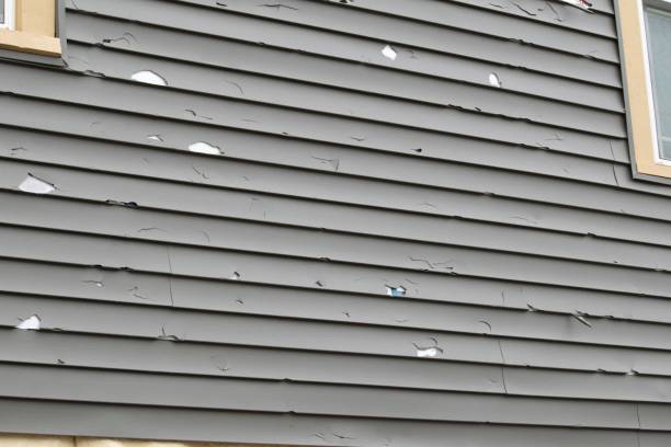 Best Shed Removal  in Elverta, CA